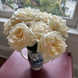 Meet your Posher, Thea